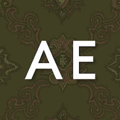 American Eagle Outfitters Inc.  logo